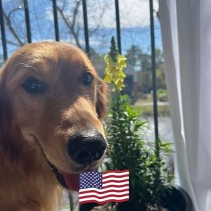 Meet your Posher, Suzanne